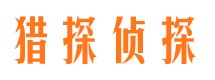 漠河市场调查